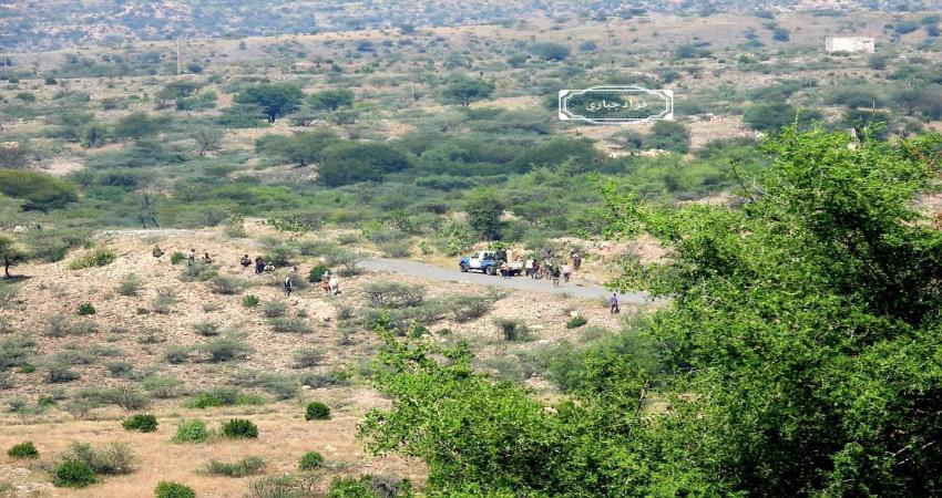 تجدد الاشتباكات العنيفة بين القوات الجنوبية ومليشيات الحوثي بقطاع الفاخر شمال الضالع