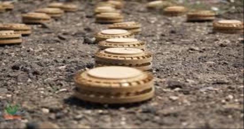 مسام يخلص الأراضي اليمنية من 5 ألف لغم 