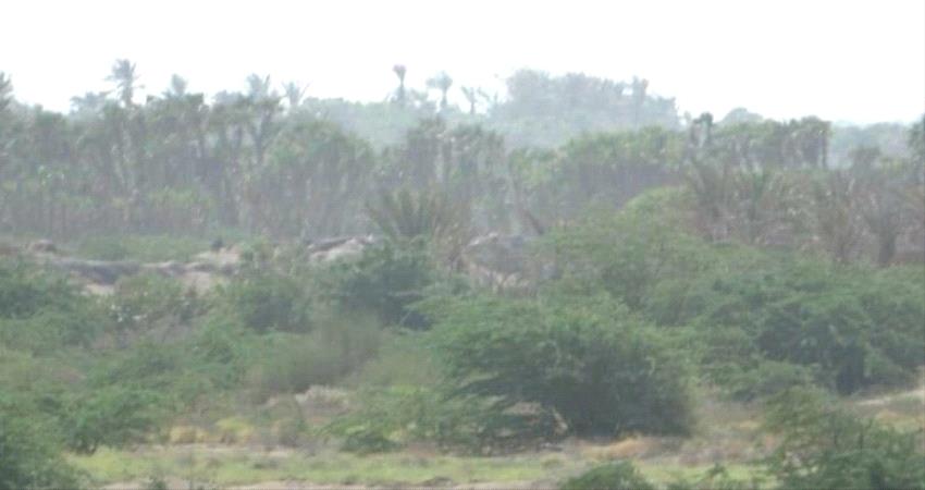 اشتباكات واسعة وخسائر حوثية فادحة في الحديدة 