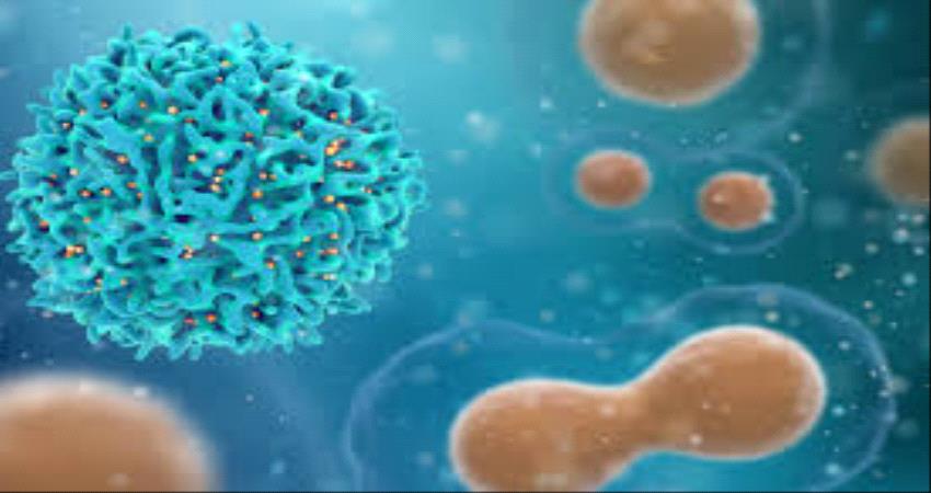 مستجدات كورونا.. تسجيل حالة واحدة مؤكدة في وادي حضرموت