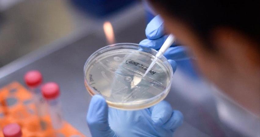 اليمن.. إرتفاع نسبة التعافي من كورونا الى 60% وتراجع الاصابات والوفيات