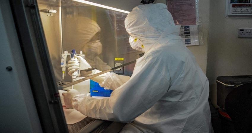 اليمن.. 4 حالات شفاء من #كورونا ولا وفيات اليوم الثلاثاء