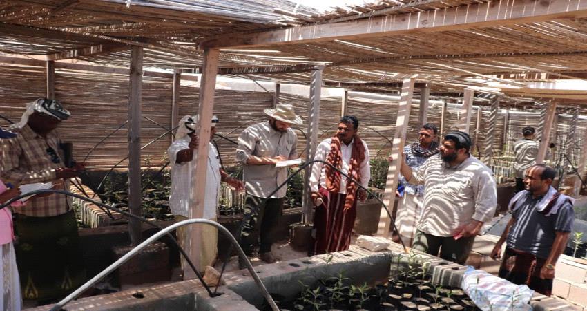 خبراء أردنيون يخططون لتطوير سقطرى 