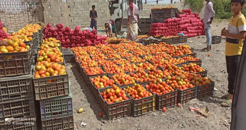 هبوط طفيف لأسعار الخضار و ارتفاع مستمر لقيمة الأسماك بلحج