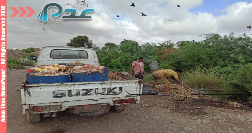 ضبط "قلابات" ترمي مخلفات الدواجن في مواقع مشروع كلفته 6 ملايين دولار"صور"