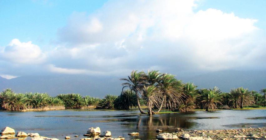 حادث مروري يتسبب بوفاة مواطن بسقطرى واصابة اخرين