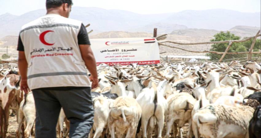 الهلال الأحمر الإماراتي يدشن مشروع توزيع أضاحي العيد لـ 9 آلاف أسرة في حضرموت