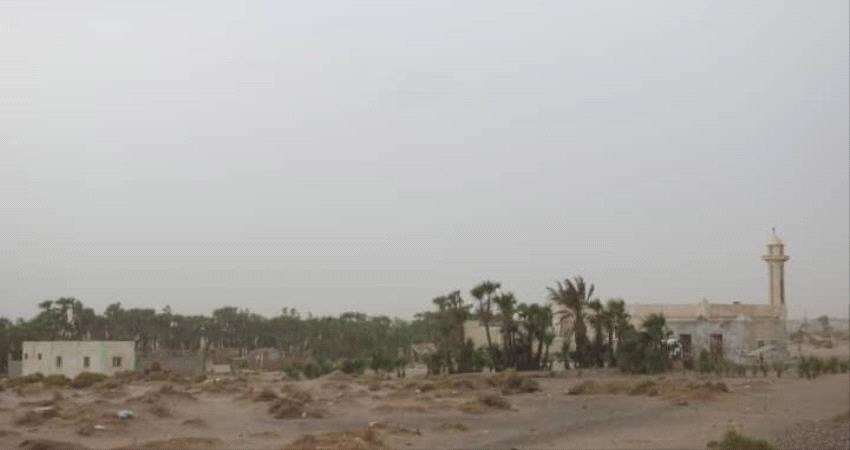 تحليق طائرات استطلاع لمليشيات الحوثي في سماء الفازة