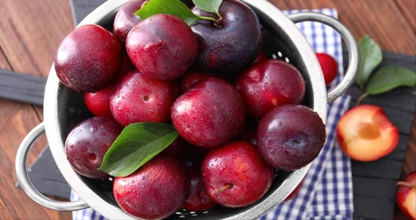 تعرف على فوائد البرقوق الأحمر والأسود لصحة الجسم