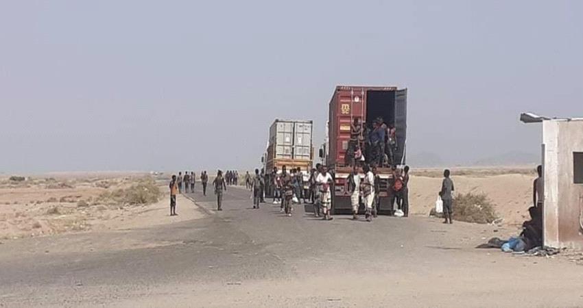 صور صادمة لشاحنات كبيرة تنقل مهاجرين غير شرعيين الى اطراف عدن