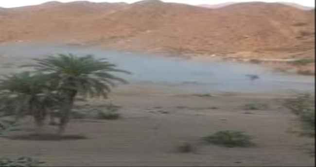 قوات اللواء الرابع حزم تكسر هجوم حوثي في جبهة حيفان بين تعز ولحج