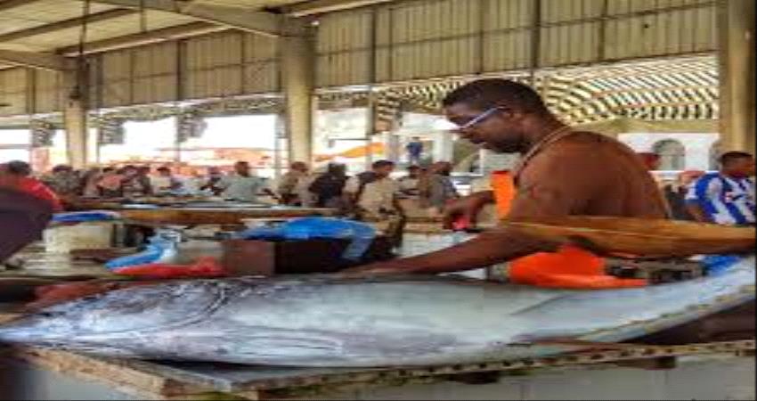 المكلا : البدء ببيع الأسماك في السوق المحلي بسعر التكلفة