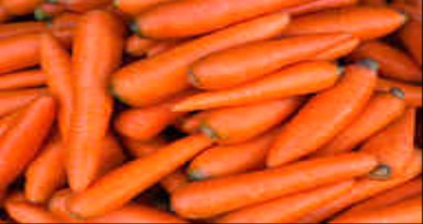 وقاية من السرطان وحماية القلب.. تعرف على فوائد الجزر للجسم