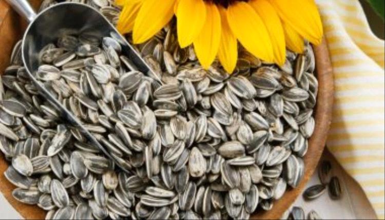 4 فوائد صحية مدهشة لتناول بذور عباد الشمس
