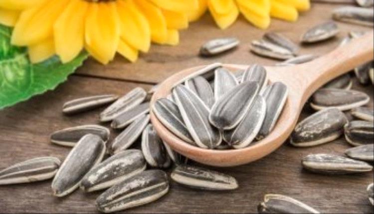 اللب السورى مش مجرد تسالى.. 4 فوائد صحية مدهشة لتناوله