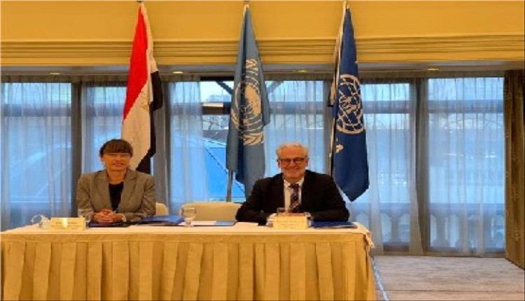 أكثر من (37 ٪ ) يعملون في وظائف ثابتة وشركات مستقرة