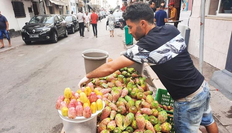 «التين الشوكي» فاكهة صيفية وفوائد صحية