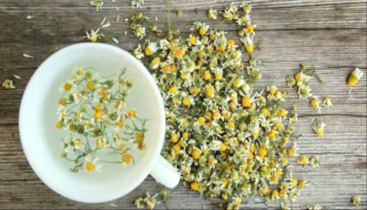أعشاب طبيعية للعناية بالبشرة تجعلها مشرقة وناعمة.. أبرزها البابونج