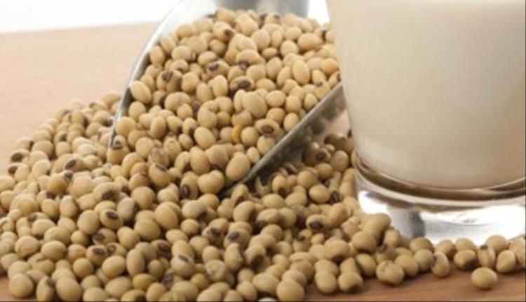 من إنقاص الوزن إلى تقوية العظام.. 5 فوائد مدهشة لتناول فول الصويا