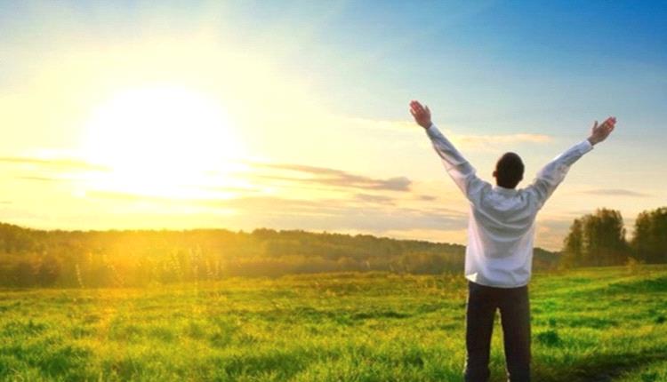 5 مصادر غنية بفيتامين "د" اغتنم الفوائد