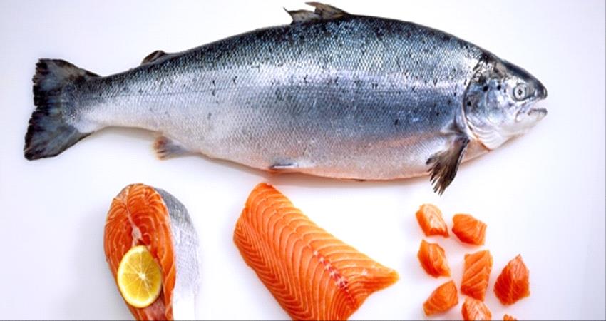 10 فوائد صحية لسمك السلمون: تعرف عليها