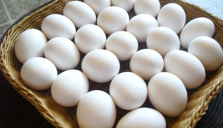 ليس في اليمن فقط.. ارتفاع جنوني لأسعار البيض في مصر 