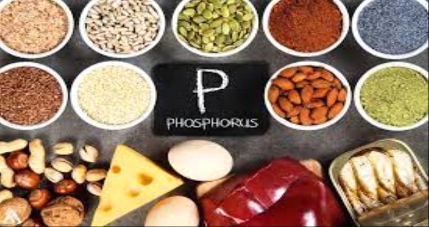 7 أطعمة غنية بالفوسفور
