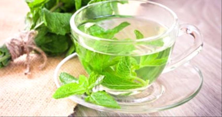 8 فوائد للنعناع أهمها يقوى المناعة ويقلل التوتر