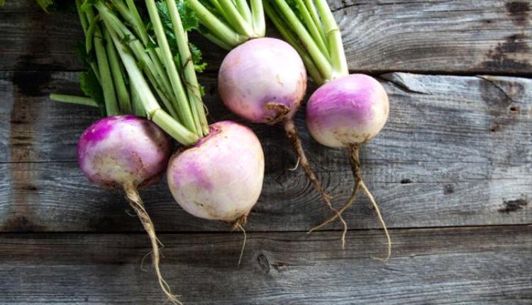 فوائد الشلغم.. صحة أفضل ووقاية من الأمراض