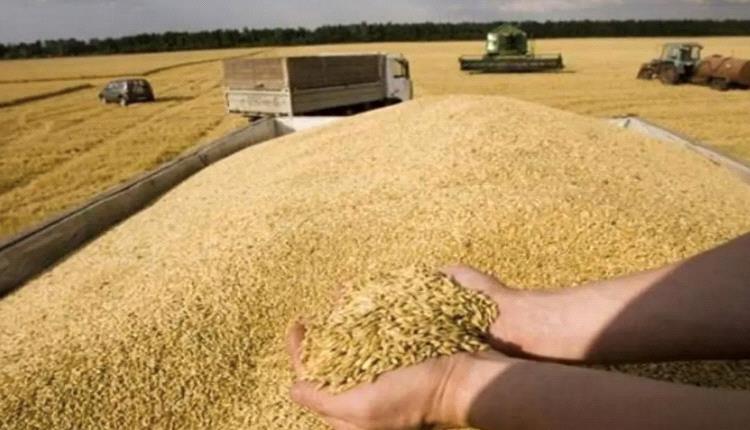 مصر بحاجة لاستيراد 5 ملايين طن من القمح