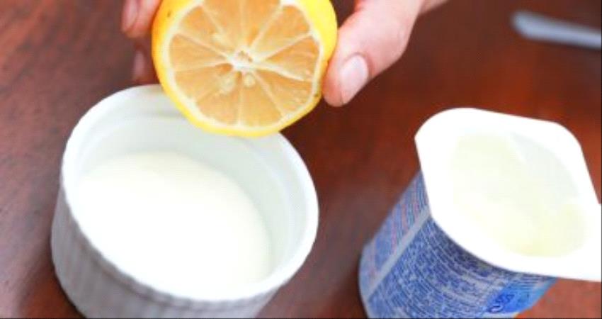 رجيم الزبادى يساعد على إنقاص الوزن؟ .. تعرف على كل الفوائد