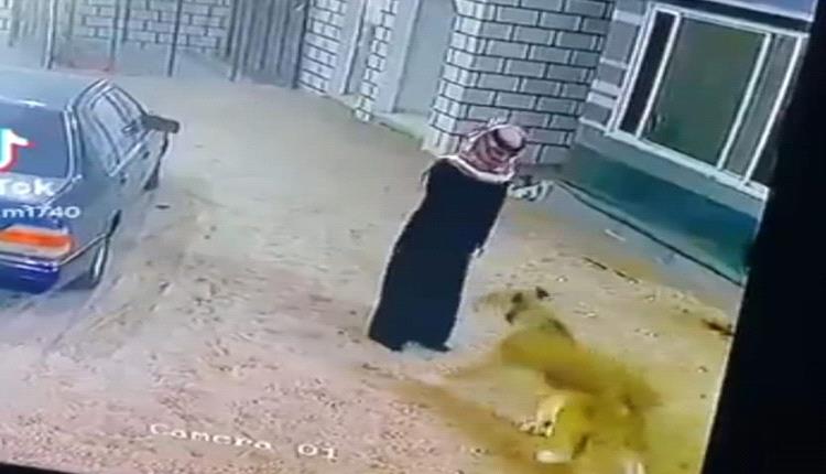 صور - شاب سعودي ينجو بأعجوبة من هجوم حيوان مفترس