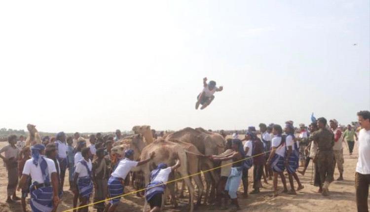القفز على الجمال.. رقم قياسي في لعبة يمنية نادرة