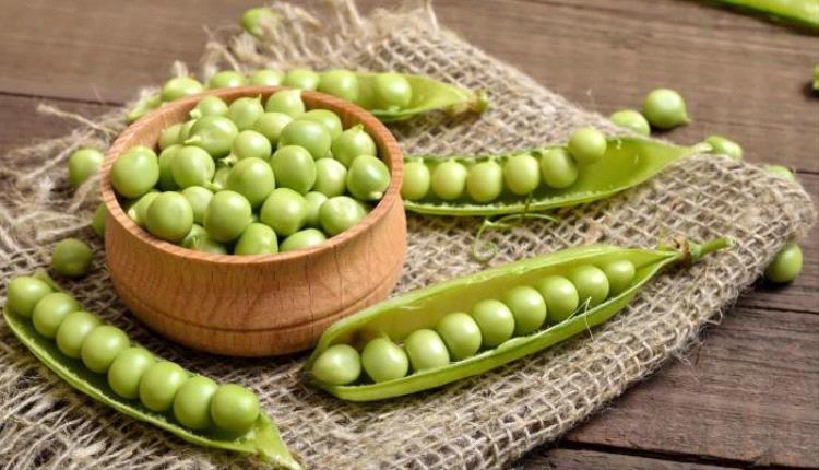  لحماية الجسم من الأمراض تعرف علئ اهم فوائد  البازلاء الخضراء