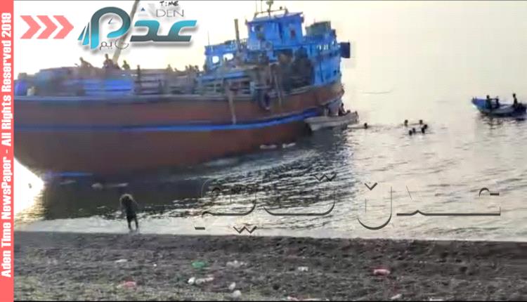 فيديو - تهريب مهول للاغنام وانزالها في الشريط الساحلي بعيدا عن السلطات في عدن