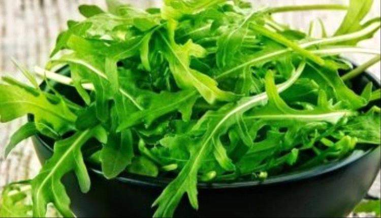 فوائد صحية لتناول الجرجير.. أبرزها تحسين صحة القلب