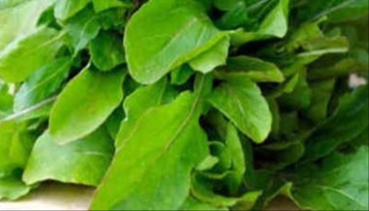 أطعمة تخفض ضغط الدم.. أبرزها الجرجير والكيوى