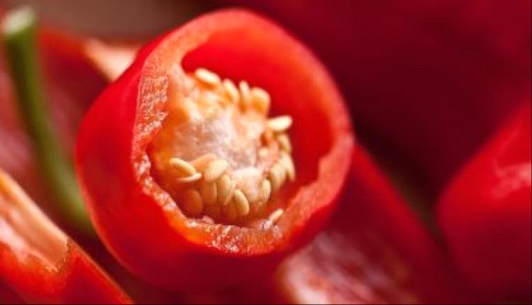 9 أصناف من الخضروات هي الأفضل لمقاومة الأنسولين