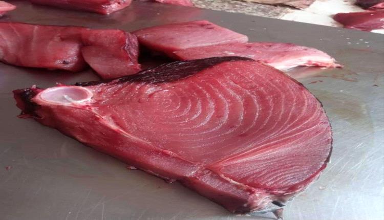 ارتفاع جنوني في اسعار الأسماك في عدن