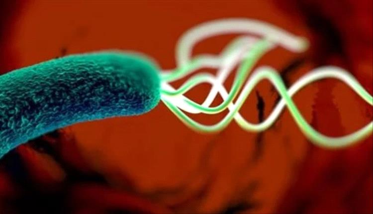 أعراض جرثومة المعدة.. 30 علامة عضوية ونفسية أخطرها البراز الدموي