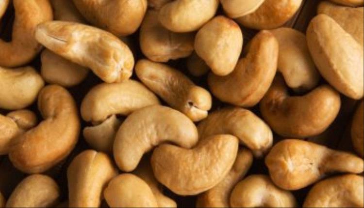 قشرته سامة.. حقائق لا تعرفها عن الكاجو