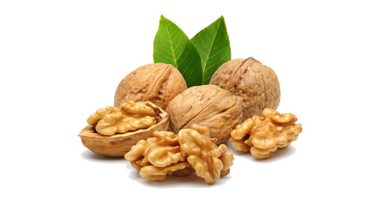 الجوز يحمي قلوبنا مع التقدم في العمر