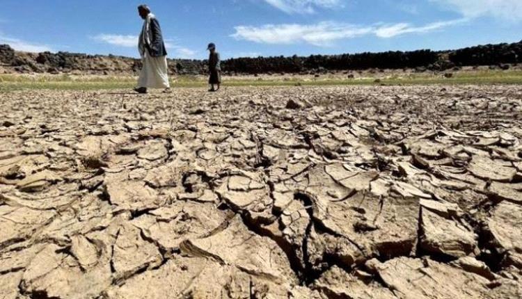 التغير المناخي يعصف بقطاع الزراعة اليمني