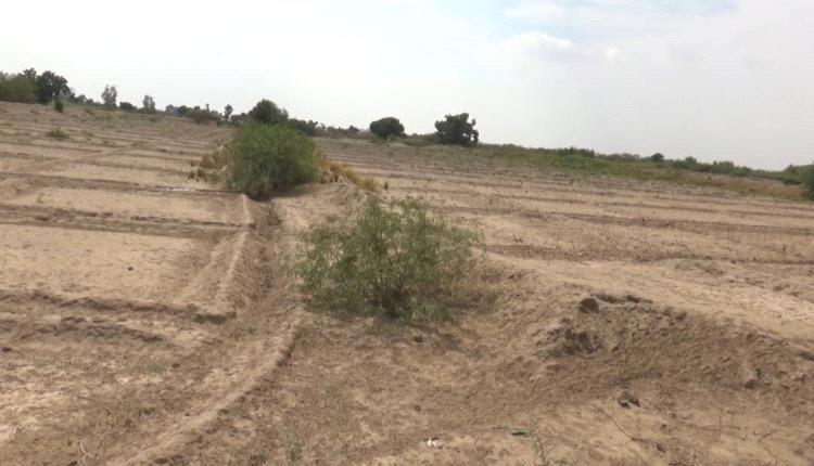 اتساع رقعة التصحر في الأراضي الزراعية بدلتا تبن جراء غياب منظومة الري