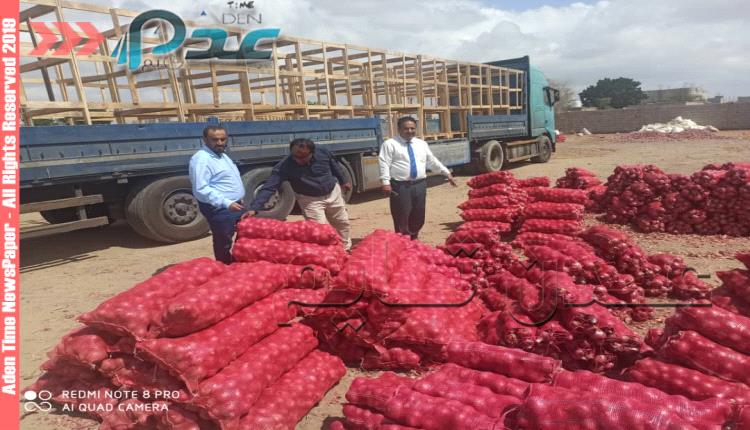 لحج.. حملة رقابة على منتجات البصل لتغطية السوق المحلي قبل تصديره