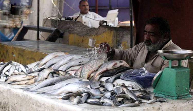 مخاوف من ارتفاع كبير بأسعار السمك في اليمن .. والسبب