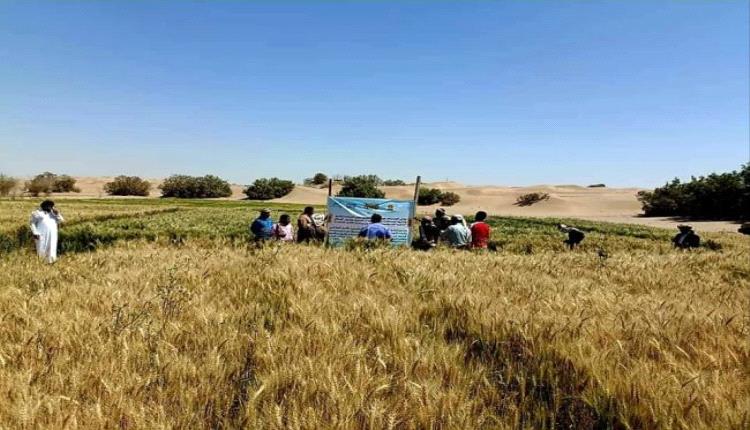 الفاو تدعم 120 مزارع بمديرية عسيلان 

