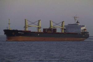 أمريكا : الحوثي يوجه ضربة لسفن إنسانية متجهة الى ميناء عدن