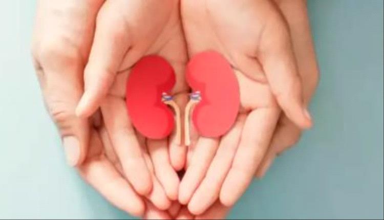 أعراض وأمراض وظائف الكلى السيئ.. استشارى مسالك يوضح