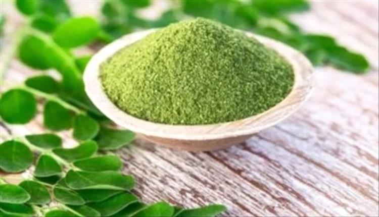 
لمرضى السكري.. 3 فوائد لعشبة المورينجا